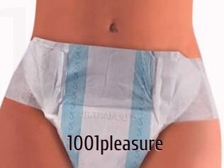1001pleasure