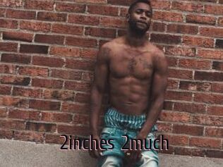 2inches_2much