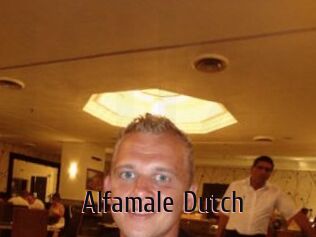 Alfamale_Dutch