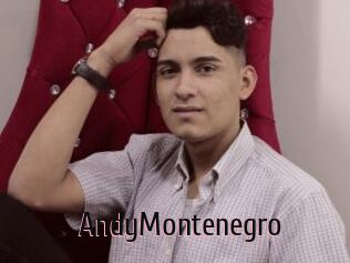 AndyMontenegro