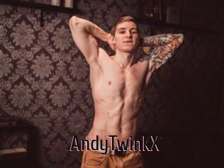 AndyTwinkX