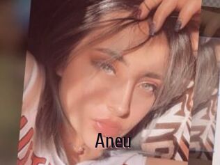 Aneu