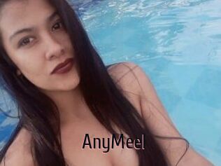 AnyMeel
