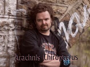 Arachnis_Chiropterus