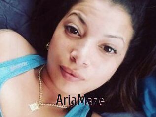 Aria_Maze
