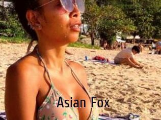 Asian_Fox