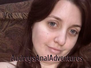 AudreysAnalAdventures