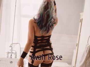 Avah_Rose