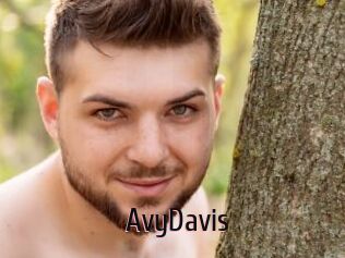 AvyDavis