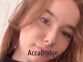 Accabodge
