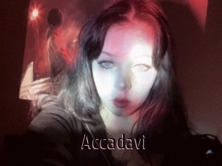 Accadavi