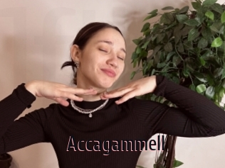 Accagammell