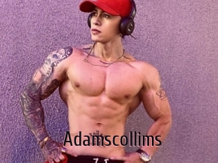 Adamscollims
