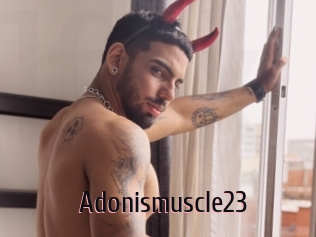 Adonismuscle23