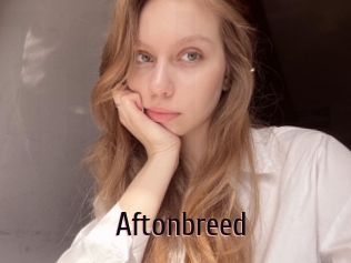 Aftonbreed