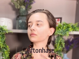 Aftonhase