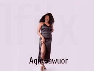 Agnesawuor