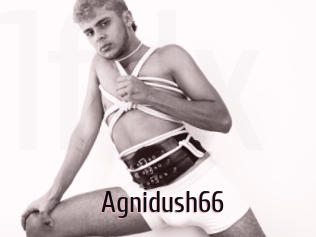 Agnidush66