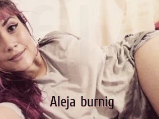 Aleja_burnig