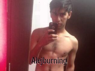 Alejburning