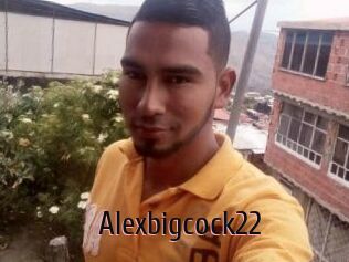 Alexbigcock22