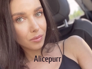 Alicepurr
