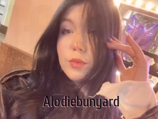 Alodiebunyard