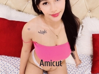 Amicut