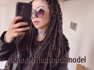Amodelwhoisnotamodel