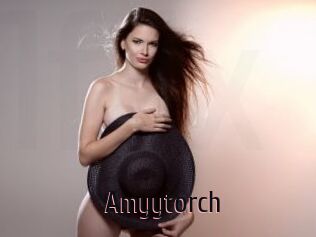 Amyytorch