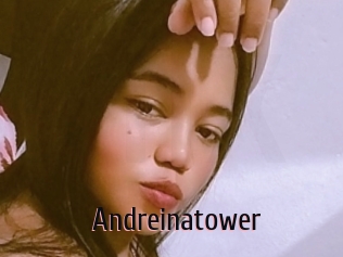 Andreinatower