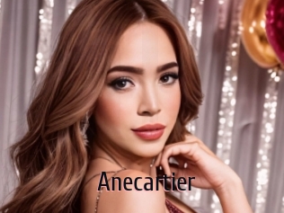 Anecartier