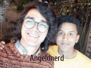 Angeldnerd