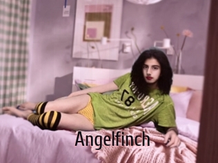 Angelfinch