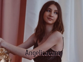 Angelicacant