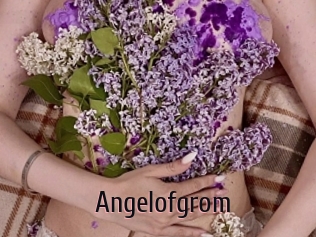 Angelofgrom