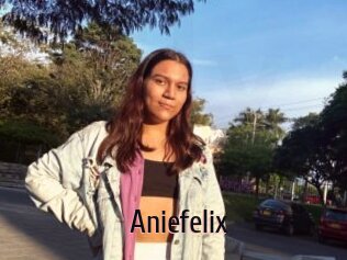 Aniefelix