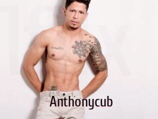 Anthonycub