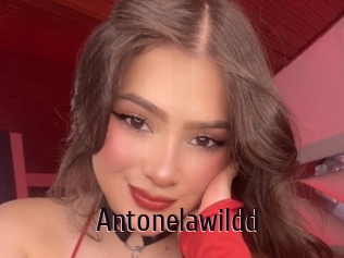 Antonelawildd