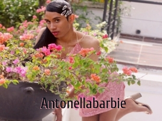 Antonellabarbie