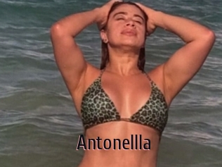 Antonellla
