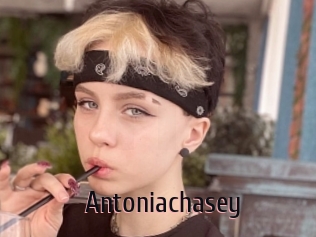 Antoniachasey