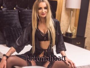 Antoniahaart