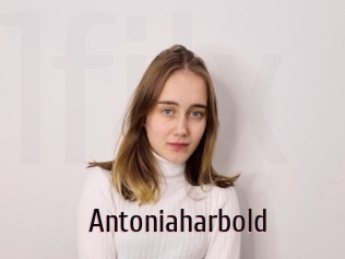 Antoniaharbold