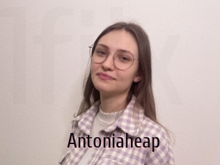 Antoniaheap