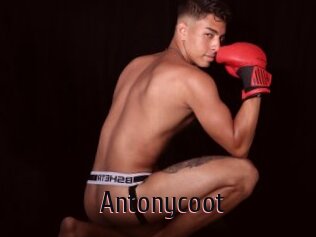 Antonycoot