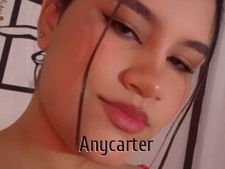 Anycarter