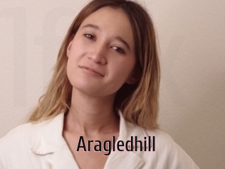 Aragledhill