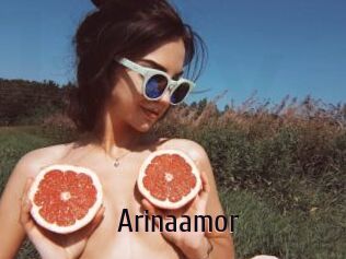 Arinaamor