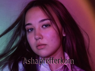 Ashapfefferkorn